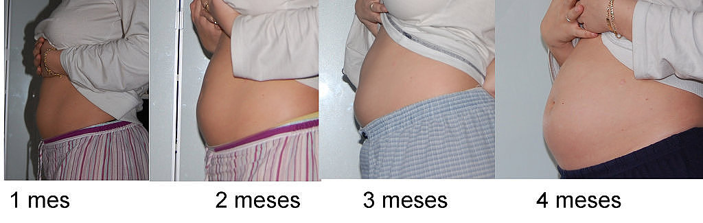 Panza de embarazo mes a mes - Imagui