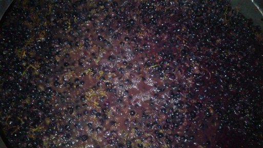 Actividad en la huerta. La uva y la elaboración de vino casero