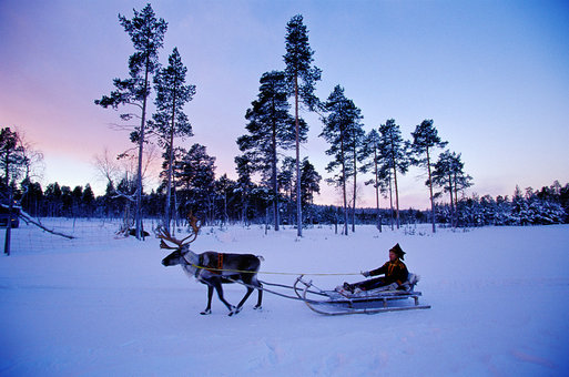  Viajar a Laponia en Navidad
